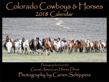 2014 Calendar Cover