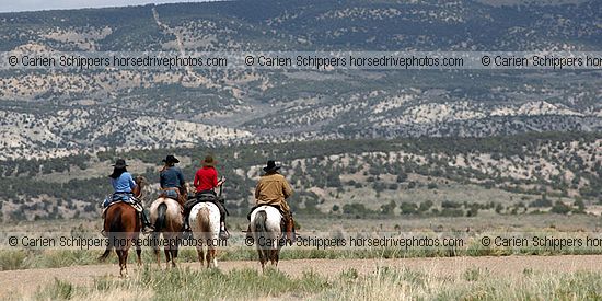 Cowboy Country