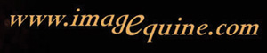 image equine site logo